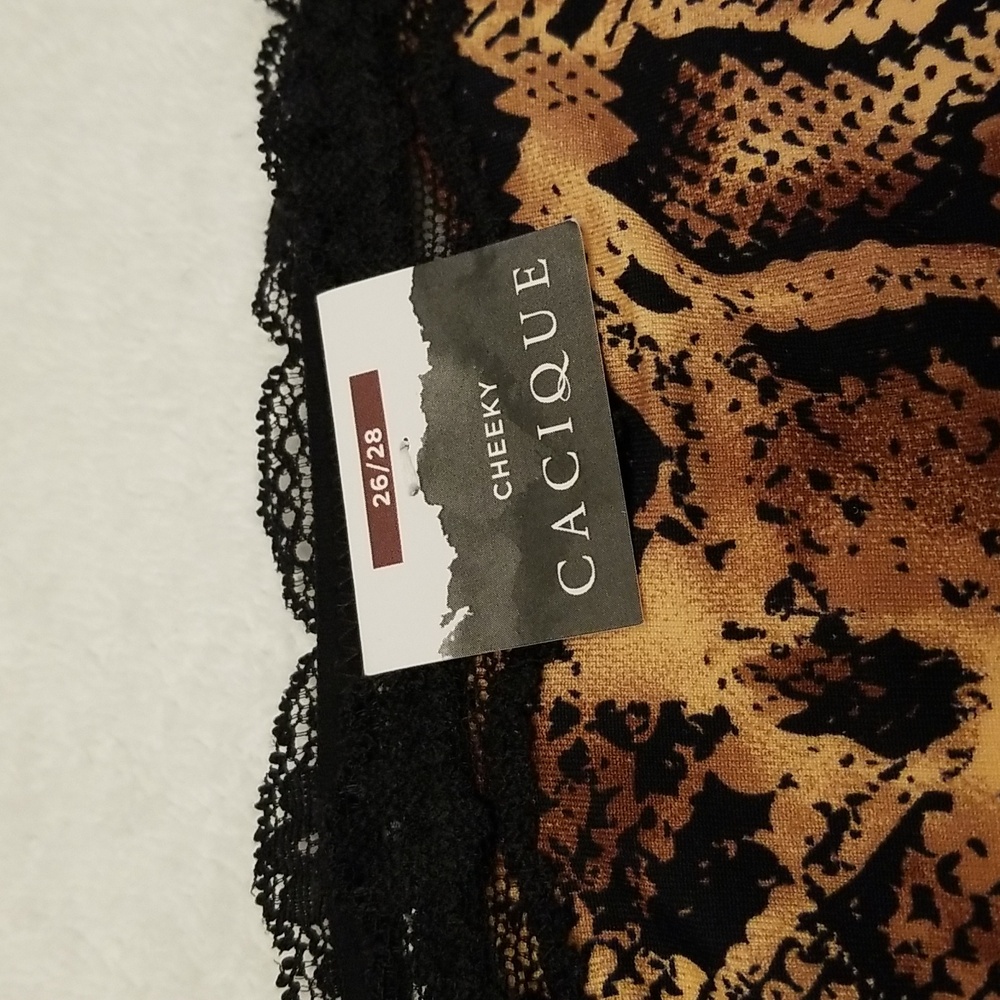Cacique 26/28 Cheeky Panty - Picture 5 of 11